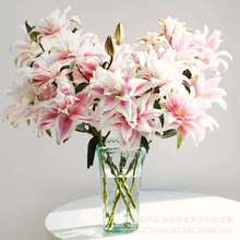 香水百合价格 香水百合价格品牌 图片 价格 香水百合价格批发 阿里巴巴