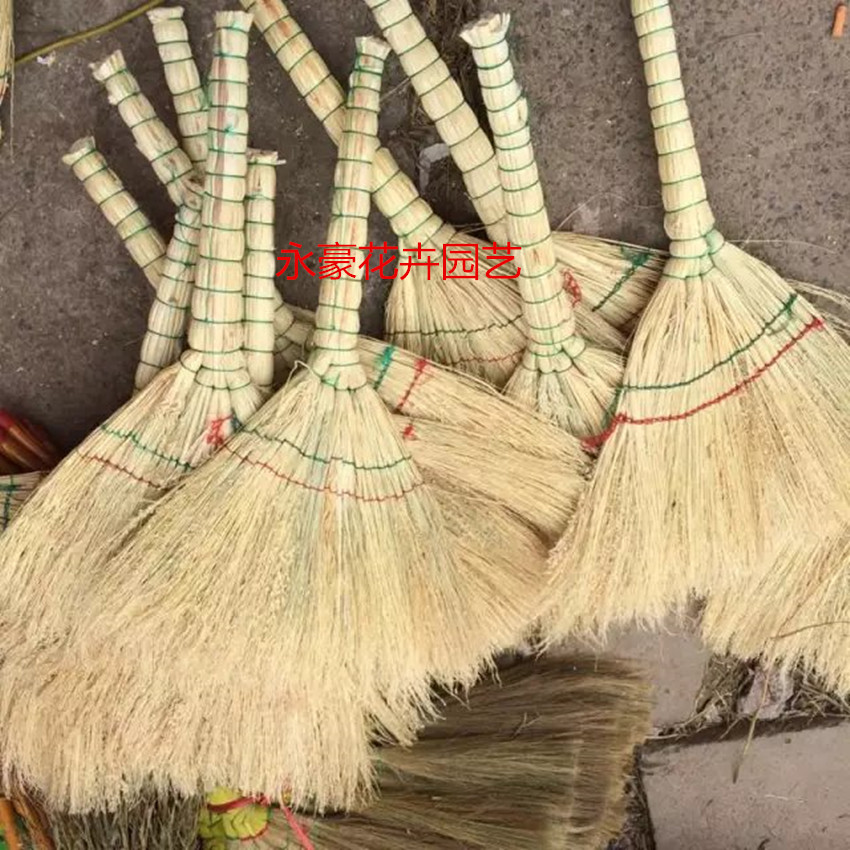 苕帚籽是收货商,_大山谷图库