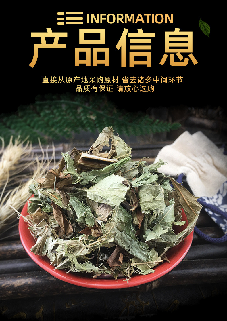 Dried Ze Lan Leaves 500g Chinese Hedyotis Herb Bulk Loose Botanical for Decoction and Herbal Tea specifications