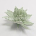 小波斯菊香皂花绿色波斯菊纸皂花OEM纸皂花颜色可定制花种可混搭