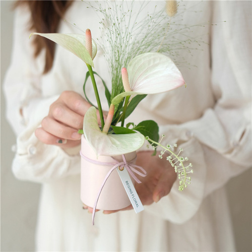 Single rose packaging flower box round hug bucket flower gift box transparent flower handbag women's day small flower box