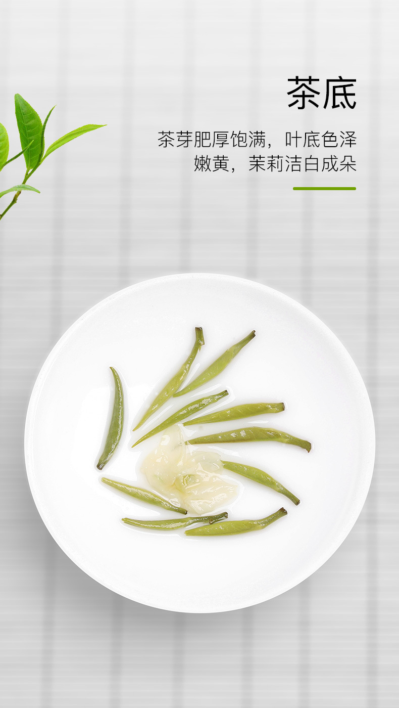 茉莉花茶(雪竹飘雪)_05