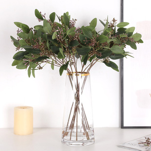 ��������~�������R�d؛Դ������~���W�L�Ҿ��Ʒ�ȼ����S�����l