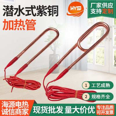 潜水式紫铜加热管 蒸饭柜电热管开水器 发热管非标定做220V380V