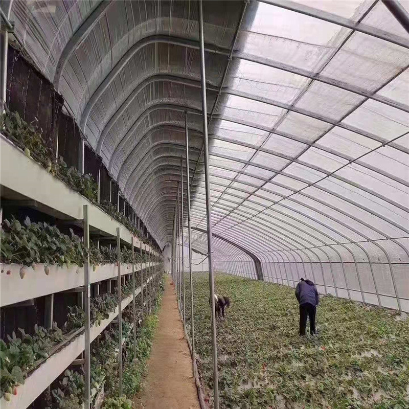 春秋棚温室 蔬菜种植温室大棚 智能养殖种植温室大棚