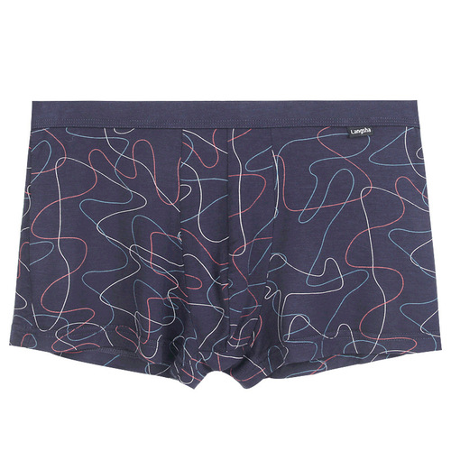 New Style Lansi Men's Underwear Spring and Summer Waistband Printed Sexy Breathable Youth Boxer Shorts Briefs Wholesale 
