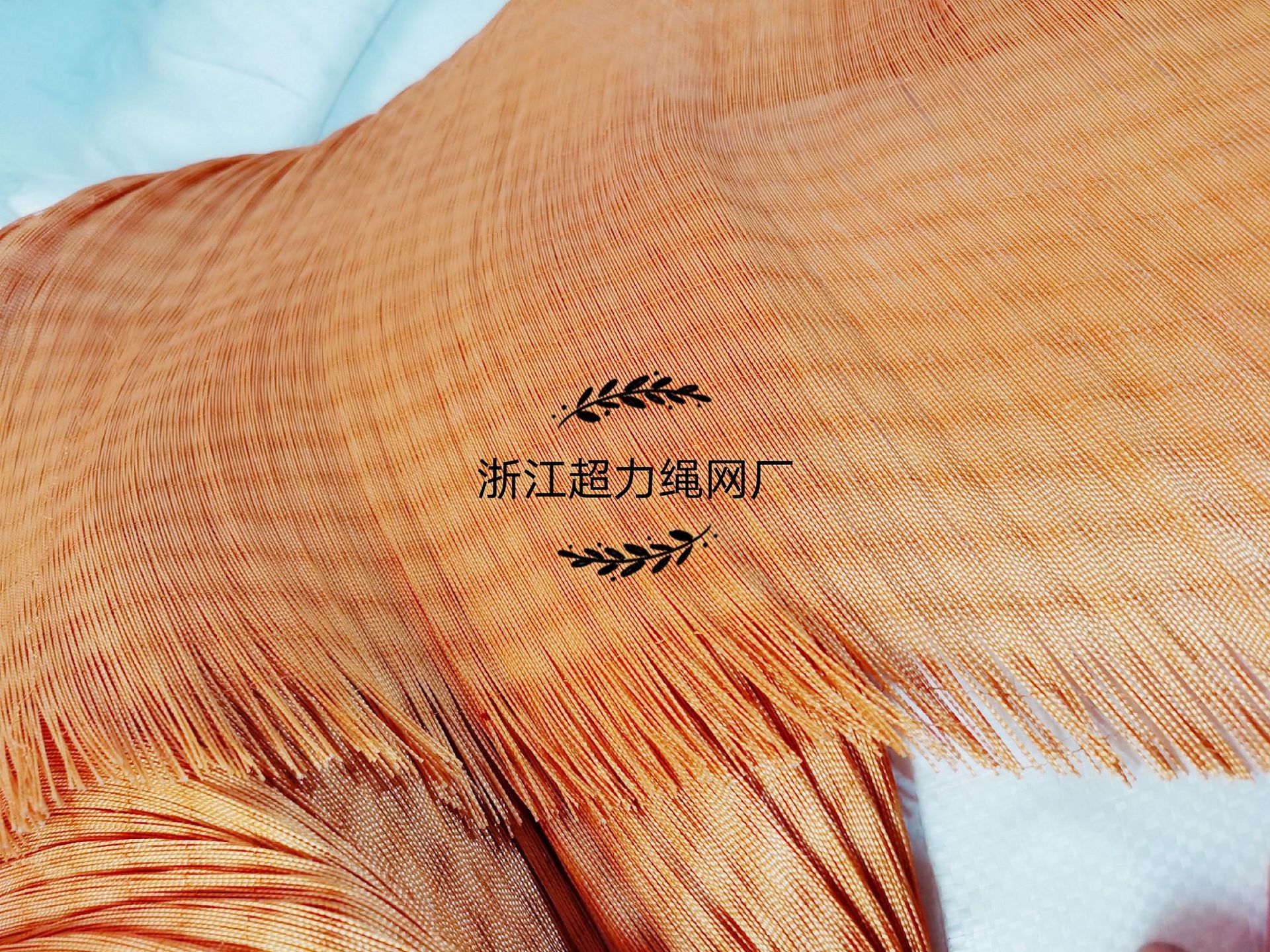 IMG_20200907_081431_mh15994380