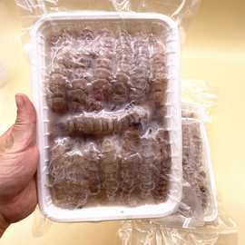 威海乳山皮皮虾肉生冻250克装半斤濑尿虾爬爬虾去壳纯肉琵琶虾