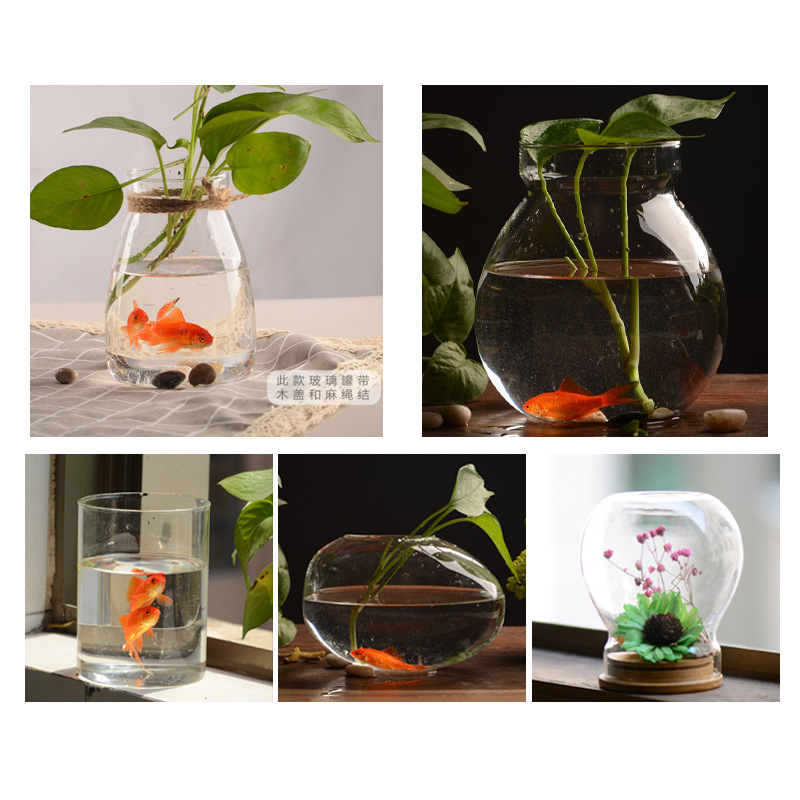 玻璃罩摆件现代简约玻璃器皿 养鱼养花 种植多肉 储物罐 简约家饰|ru
