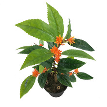 ����ֲ�ﵤ��ľ�ػ��¹��~�ļ��𻨽�������С���ԾGֲ�bS��