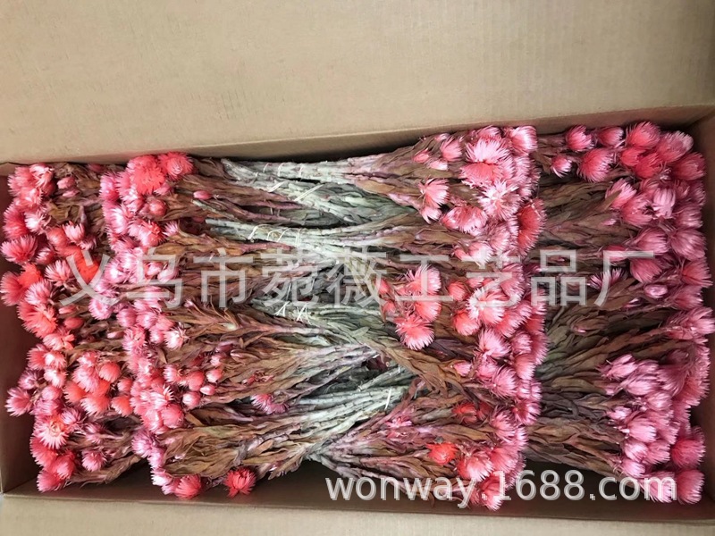 微信图片_20200410120026