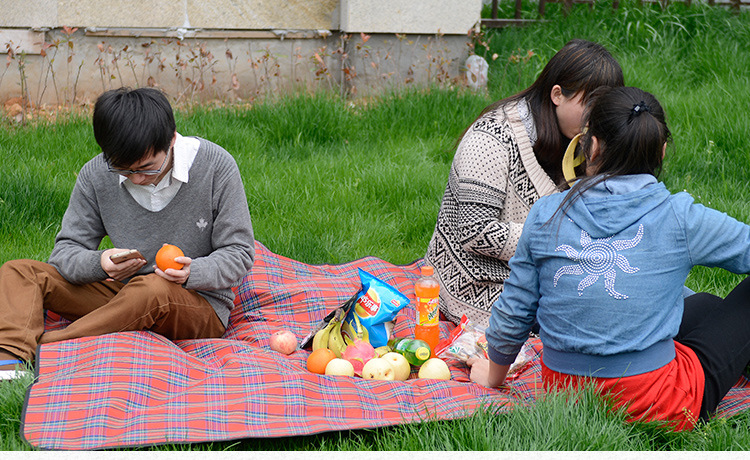 T2RS47XQFXXXXXXXXX-712792