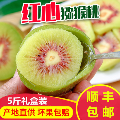 Jiangshan Red Kiwi A box of fresh fruit Sichuan Province Red One piece On behalf of