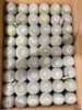 Base direct supply of household plants and flowers potted fairy balls Potted white snow light