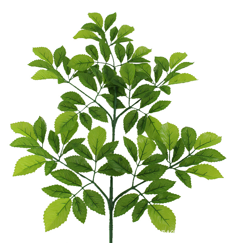 XRB-110 榆树叶五叉枝1.jpg