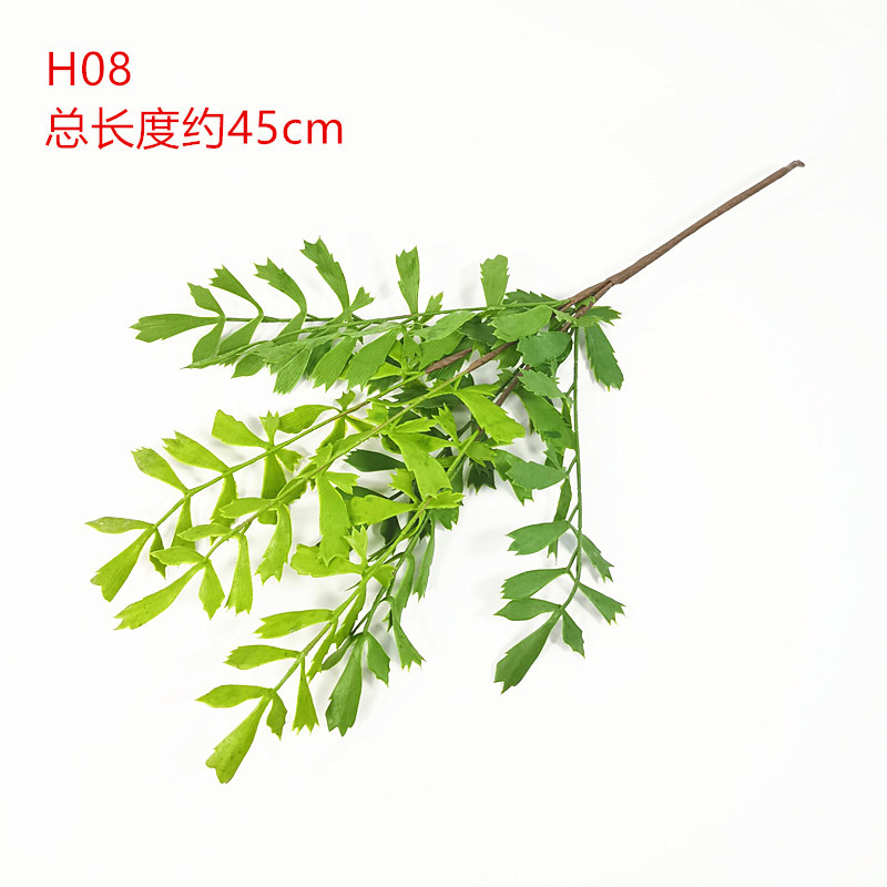 H08SKU.jpg
