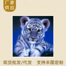 �����Ȼ�DIY�ʯ���{ɫС�ϻ��׻����Q5D�ֹ��N荮��M荿ɶ� ��