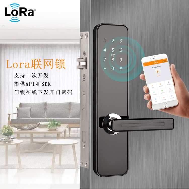 厂家直销联网密码门锁公寓锁身份证远程发卡Lora联网支持二次开发