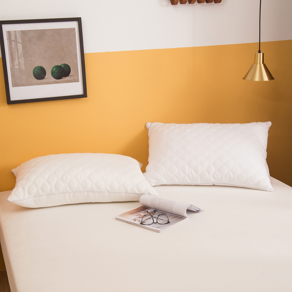 亞馬遜專供跨境貨源家紡美國站歐洲站尺碼枕芯羽絲絨透氣包邊立體