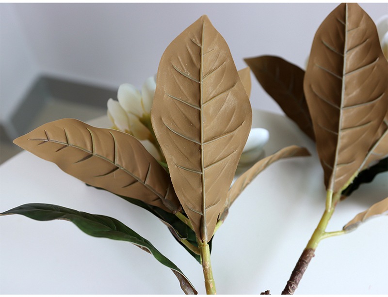 Plumeria9.jpg