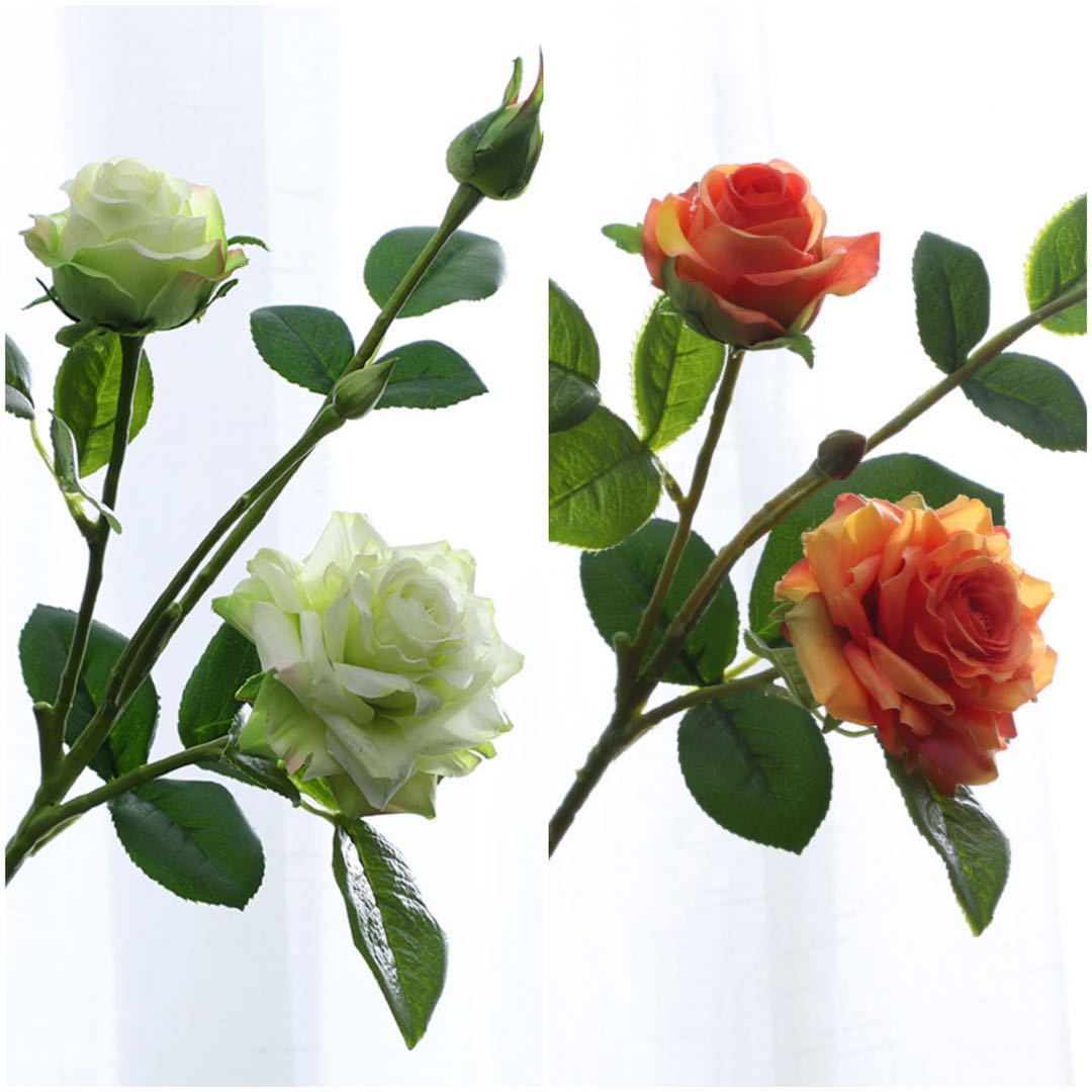 ae60797734071ff7a27fb80e676a45