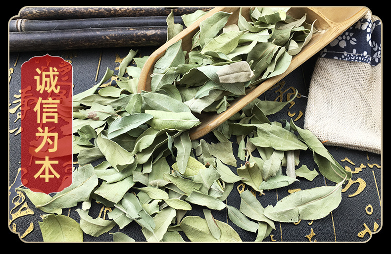 Luo Bu Ma Leaf Dried Apocynum Leaves Loose Herbal Tea Leaves 500g Bulk in use