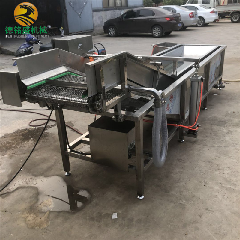 沾化小枣气泡清洗机 大红枣清洗风干线 果蔬加工设备