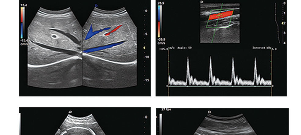 特制详情页582_23