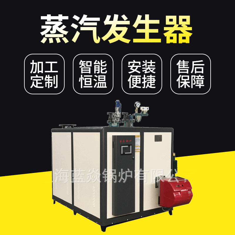 液化气蒸汽发生器热定型蒸汽发生器商用节能蒸汽发生器现货批发