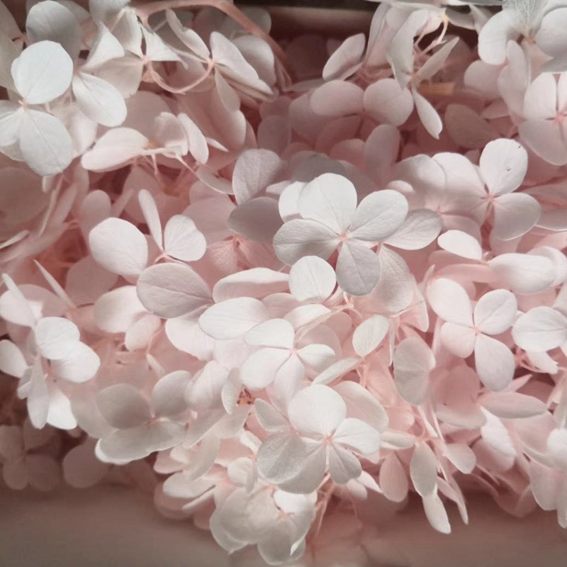 微信图片_20200421181935