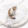 Tickle kitten