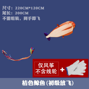 软体风筝风筝风筝卡通风筝儿童大型软体风筝易飞