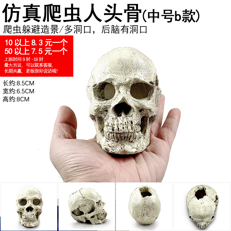 仿真爬虫人头骨B