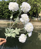 New simulation flower 6 heads of hibiscus Peony Yumei Puppet Hotel Home Furnishing Wedding Decoration Flower Architecture