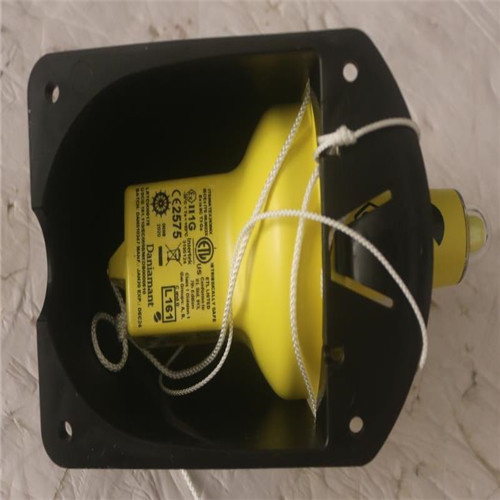 Daniamant 救生圈灯 L161