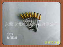 ��������Sɫ�����A�^��о�T�