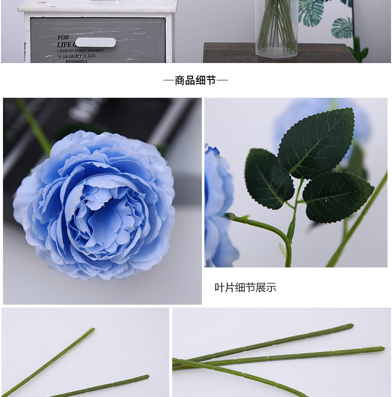 洋牡丹_10.jpg