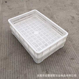 塑料烘干盘 塑料单冻器 晾晒筛 白色大孔网格晒筛烘干盘