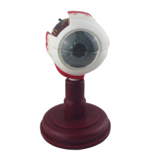 ��Ʒ����Ŵ�ģ������֧��ģ�͸߶��ۿ��t���۾��Y��ģ�ͽY����