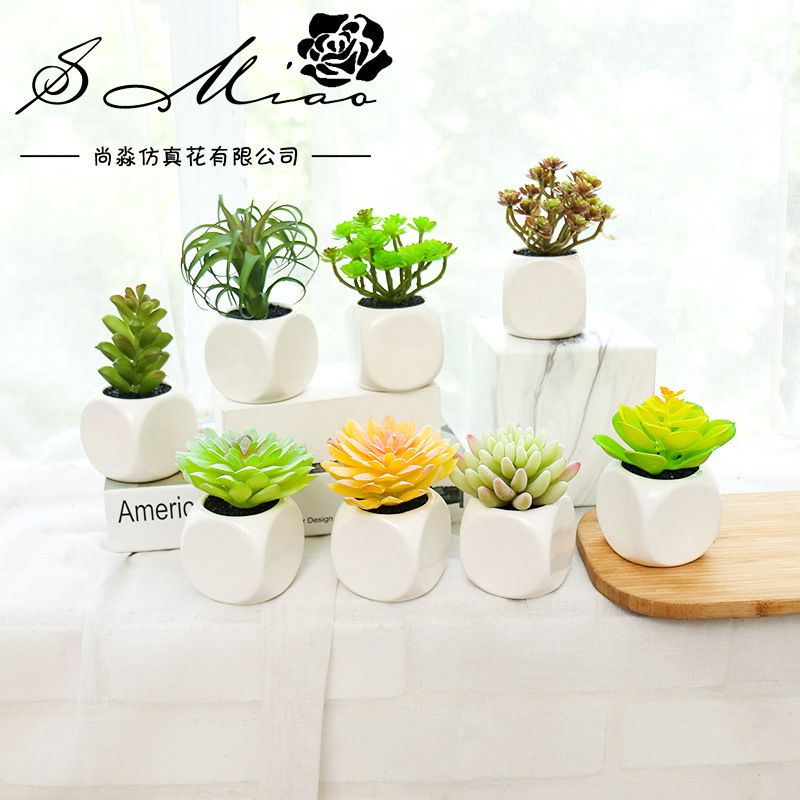 假花仿真多肉植物盆景塑料小绿植创意摆件厂家直销仿真花一件代发