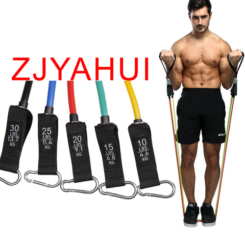 TPE Branded 11-Piece Resistance Band Set, Multi-functional Pull-up Band, Latex Resistance Band, Hammock Hook Fitness Suite, Manufacturer