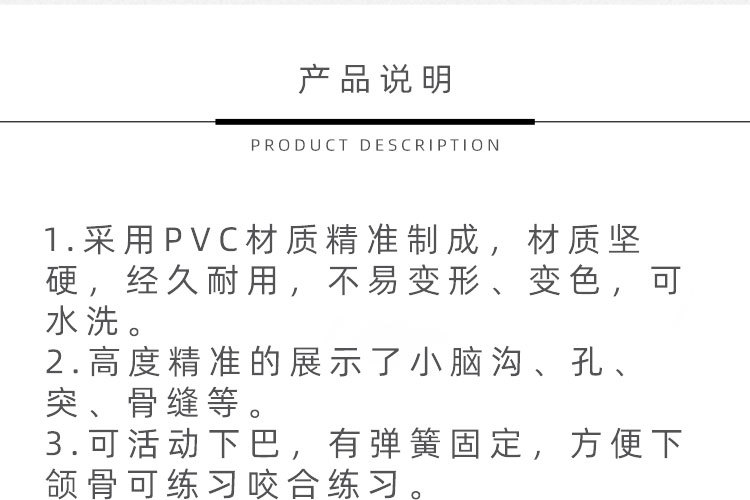 3 正常头骨纯白.jpg