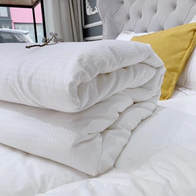 工廠批發微商爆款純棉大豆春秋冬款被芯加厚宿舍學生成人雙人單人