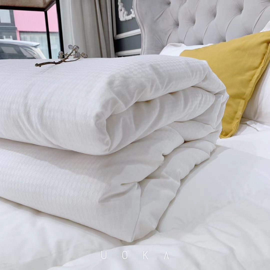 工廠批發微商爆款純棉大豆春秋冬款被芯加厚宿舍學生成人雙人單人