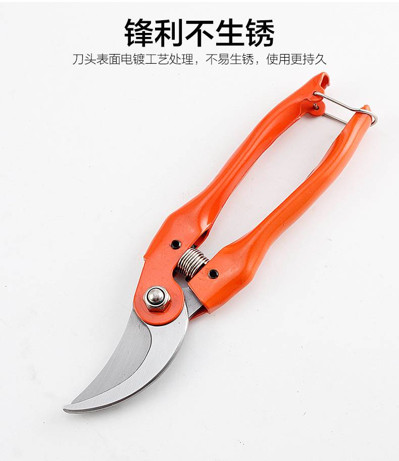 园林剪刀Q_04.jpg