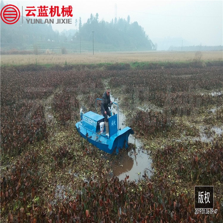 3湖南碎草船 (2).jpg