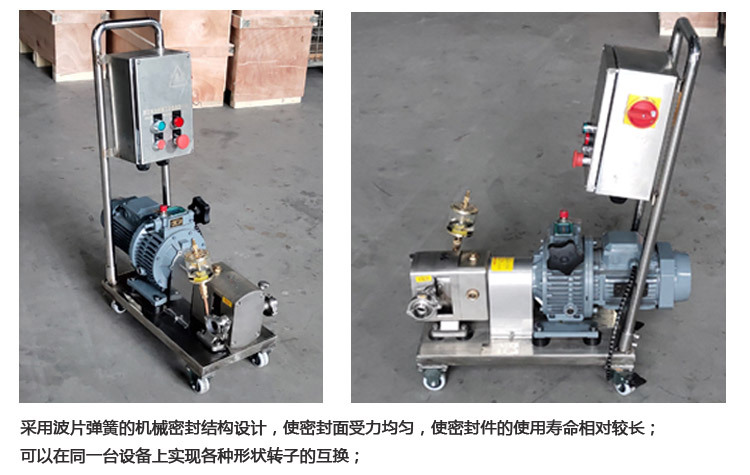 百力仕转子泵新 (12)