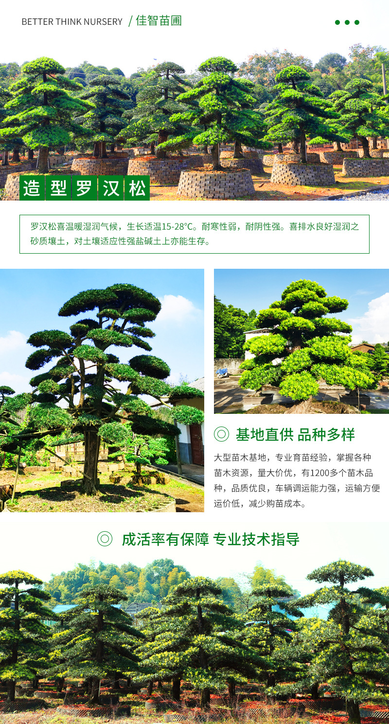 �޺���-����_04