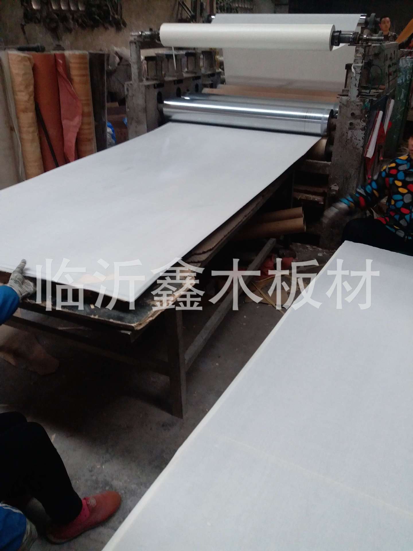 PVC贴面桉木芯胶合板