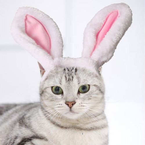Chibi Pet Dog and Cat Cute Head Accessories for Christmas Birthday Party Bunny Ear Head Flowers